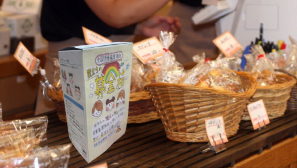 特別枠で支援する